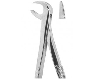 Extracting Forceps English pattern